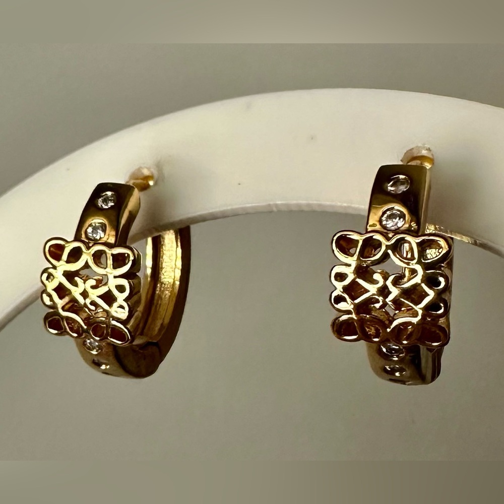 Hoop Earrings